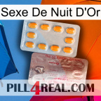 Golden Night Sex new13